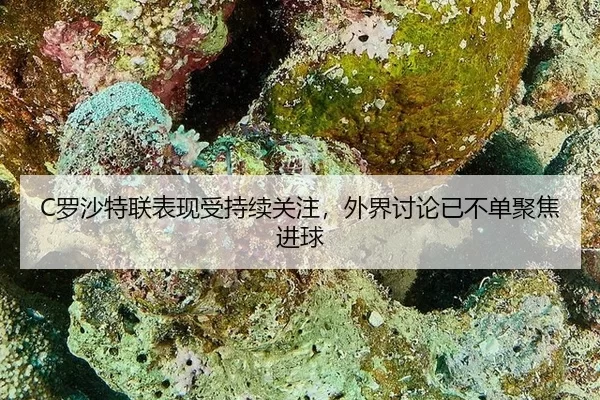 C罗沙特联表现受持续关注，外界讨论已不单聚焦进球